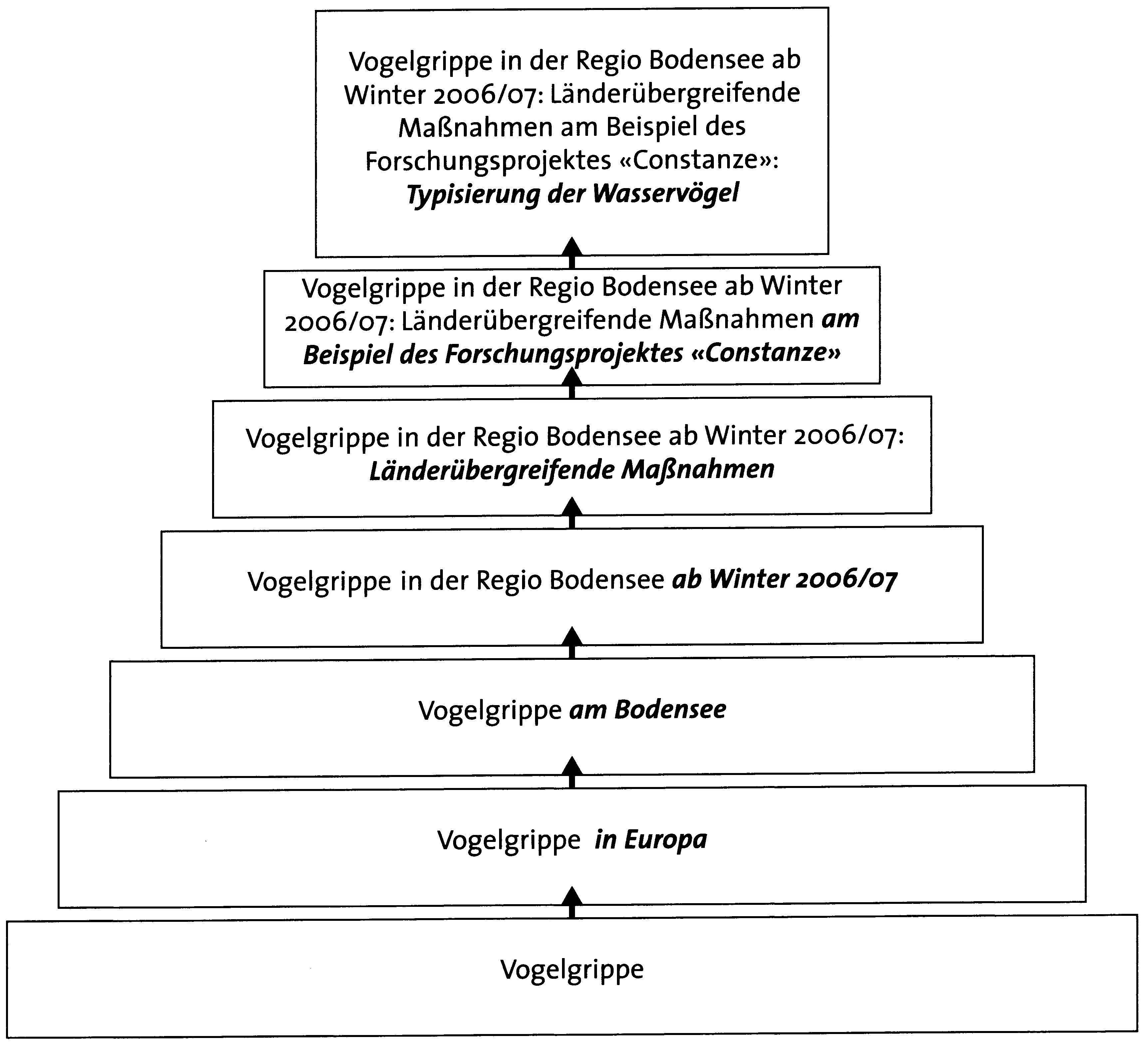 Beispiel für eine Themenpyramide – Vogelgrippe.